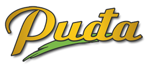 Logoshadow